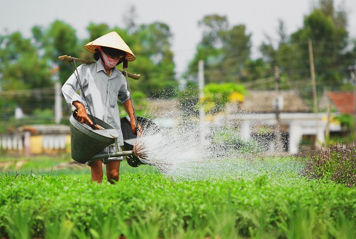 địa điểm du lịch Hội An